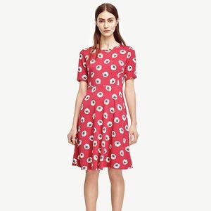 Ann Taylor Pink Floral Dot Flare Dress Size 12